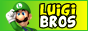 Super Luigi Bros.