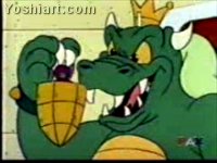 Super Koopa