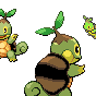 Turtle Sprites