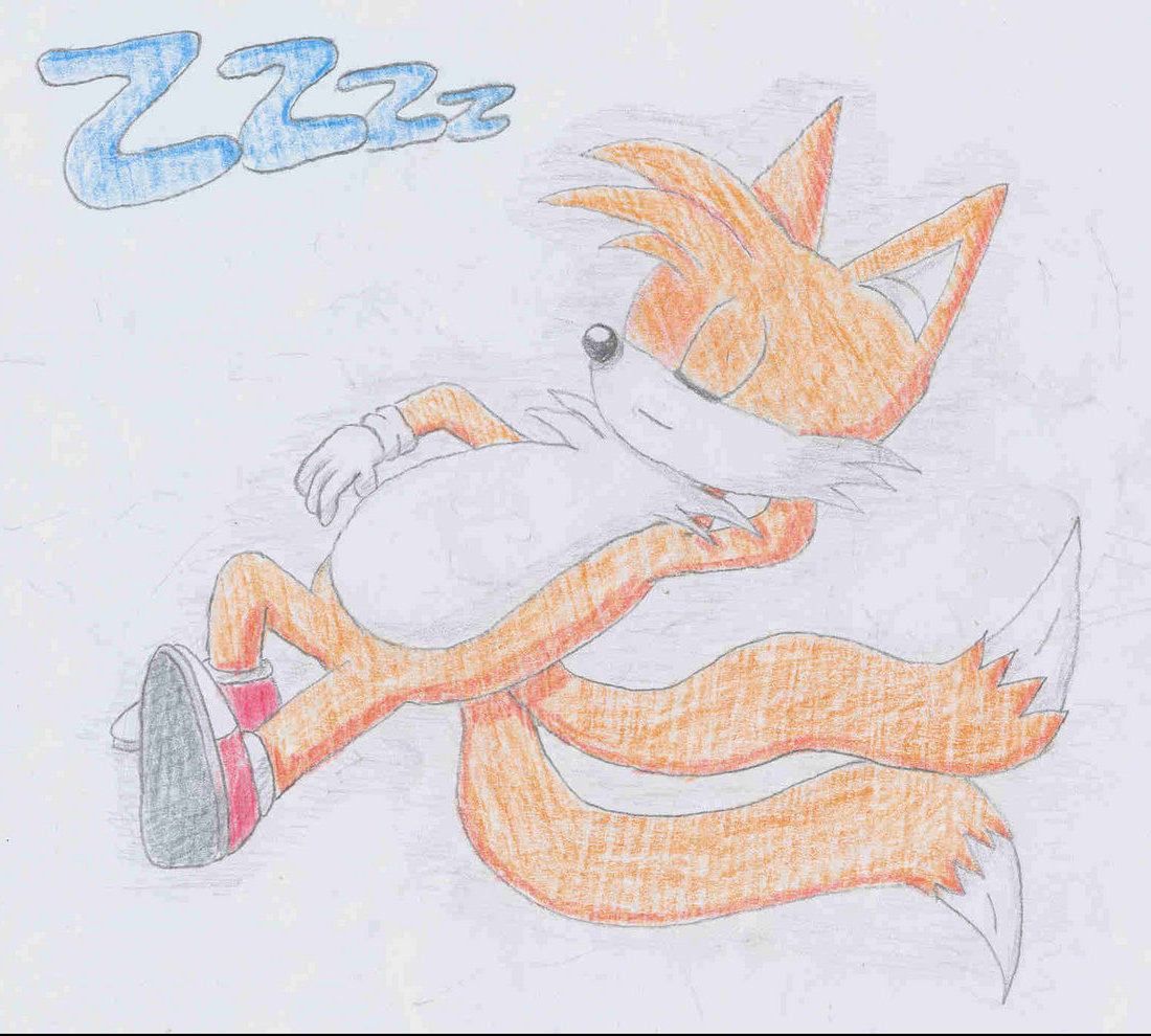 Tails_Sleeping