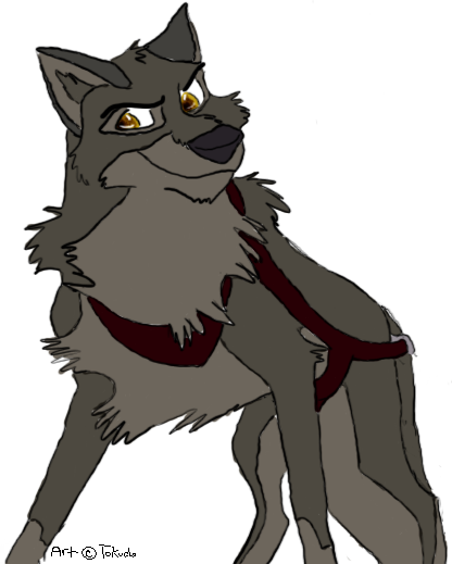 balto_harness2