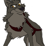 balto_harness2