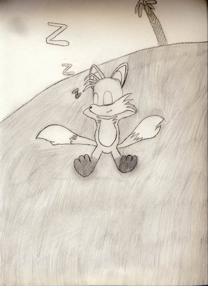 Tails takes a nap