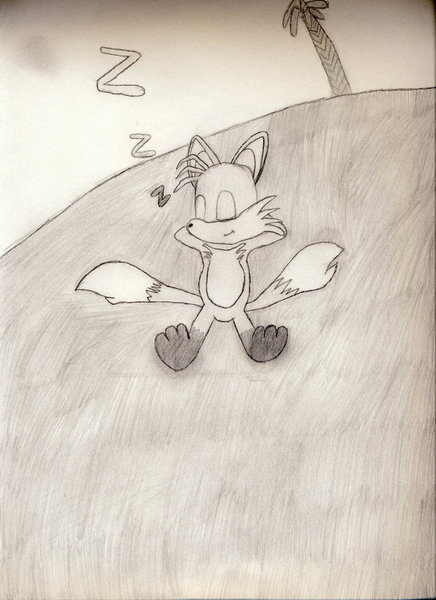 Tails takes a nap