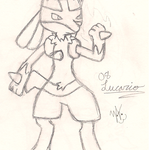 It's a Lucario!