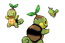 Turtle Sprites