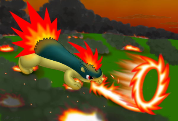 Quilava Used Flame Wheel!