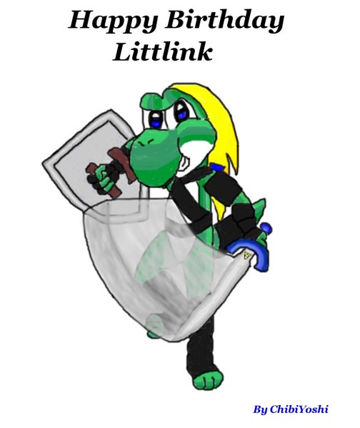 Littlink birtday picture