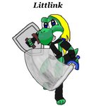 Littlink birtday picture