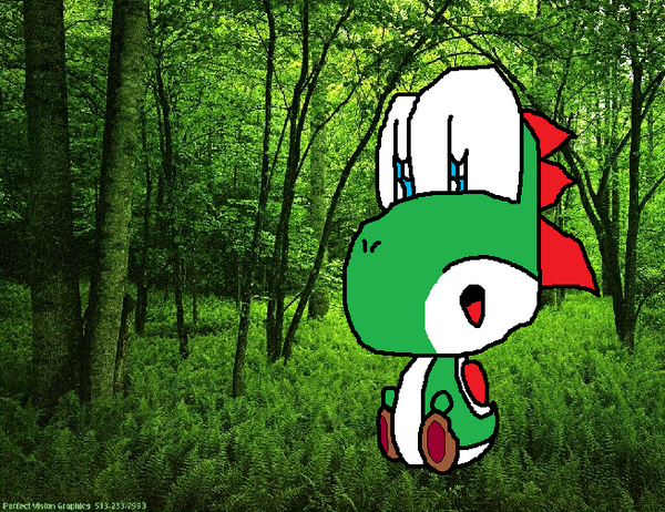 Yoshi in Forest